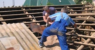 Демонтаж крыши в Алексеевке - стоимость работ от 739 рублей за м2